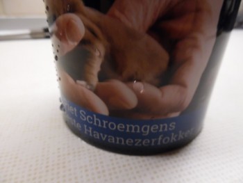 Afbeelding invoegen